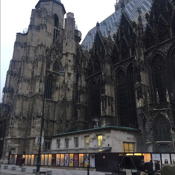 Meet your Posher, Brandon - Picture 1 of 1